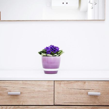 Apartment Anica Трогир Екстериор снимка
